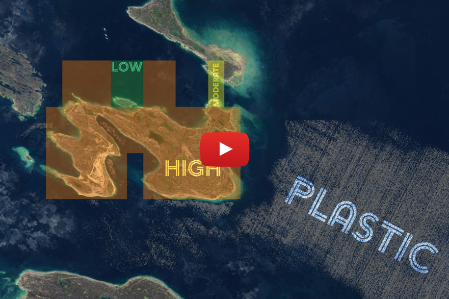 Canadian Arctic Plastic Bioaccumulation Health Risk Index